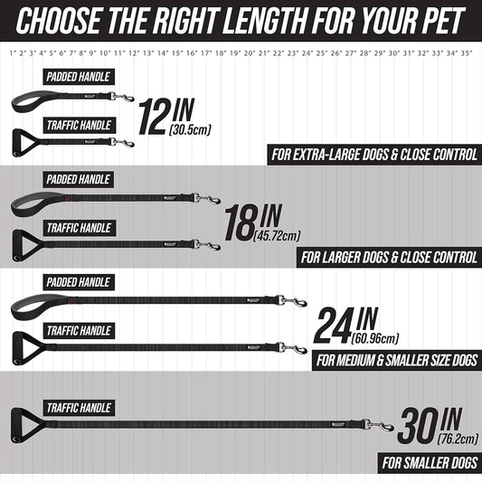 Short Dog Leash with Traffic Handle for Large Dogs