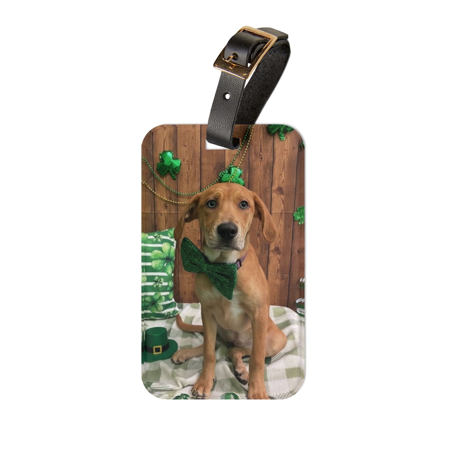 Maggie - St. Patrick's Day Dog Luggage Tag