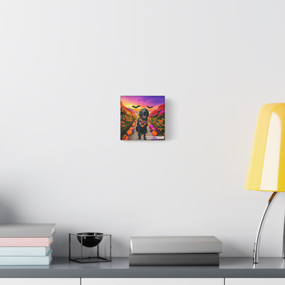 Reilly - Halloween Canvas