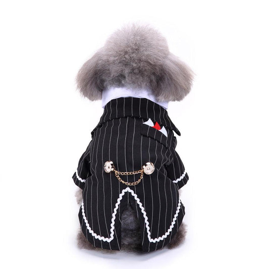 Dog Suit