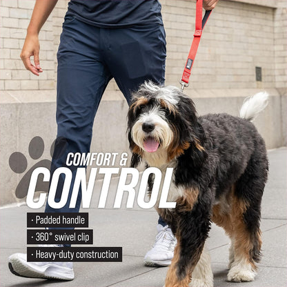 Short Dog Leash with Traffic Handle for Large Dogs
