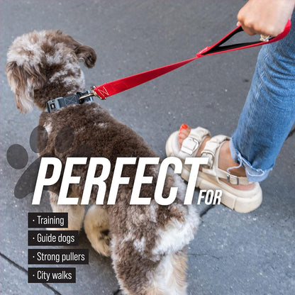 Short Dog Leash with Traffic Handle for Large Dogs
