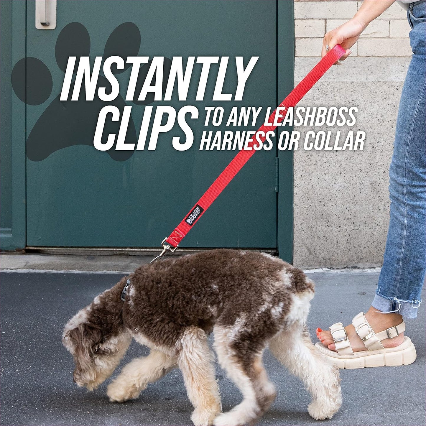 Short Dog Leash with Traffic Handle for Large Dogs
