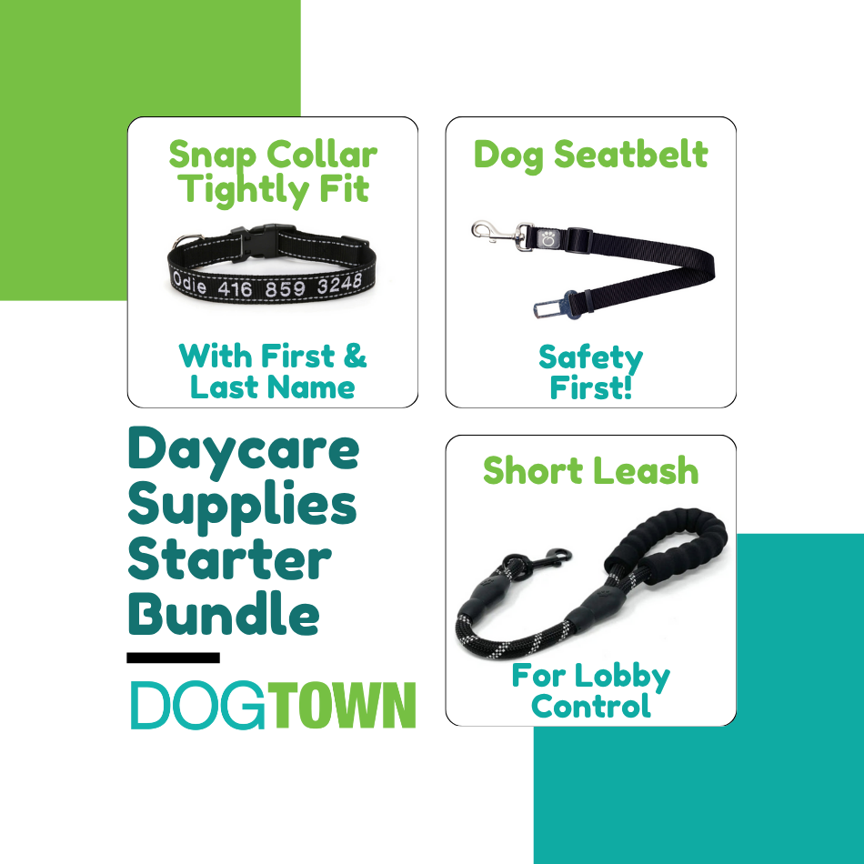 Daycare Starter Kit