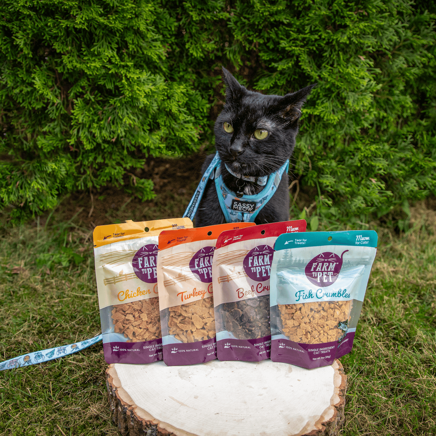 Beef Crumbles Cat Treats | High Protein Treats for Cats