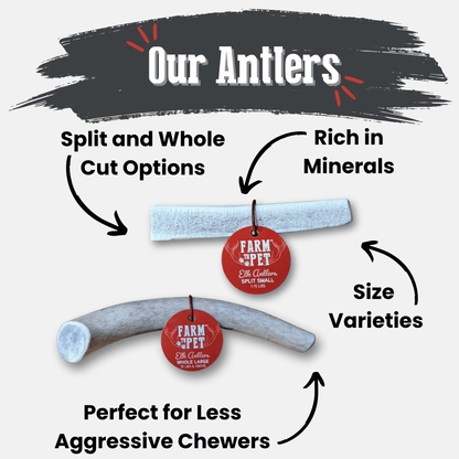 Elk Antler Dog Chews | All-Natural Whole and Split Elk Antler Chews for Dogs