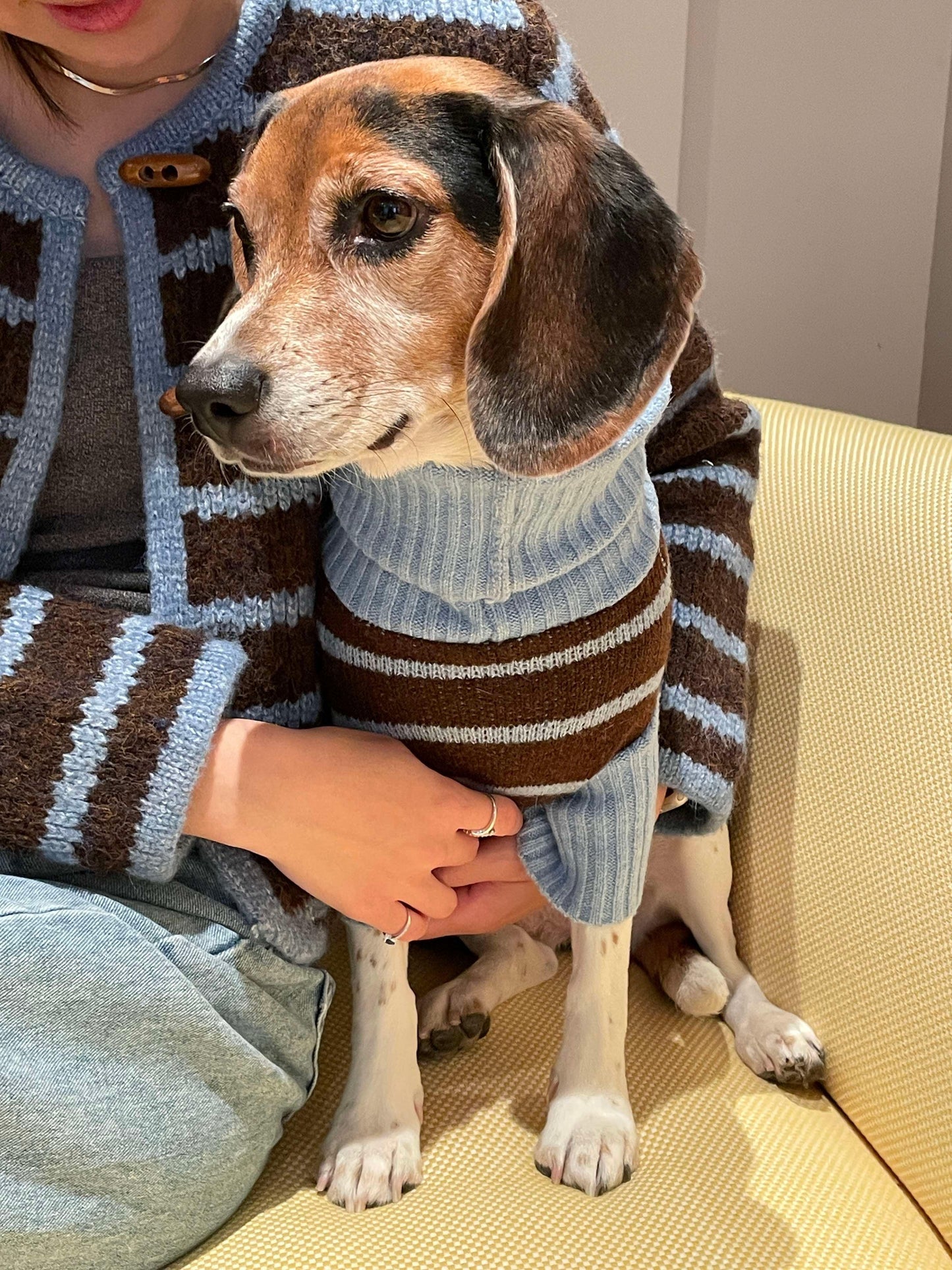 Bluebell Stripes Sweater