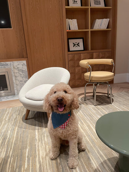 Park Day Denim Gingham Print Handmade Bandana