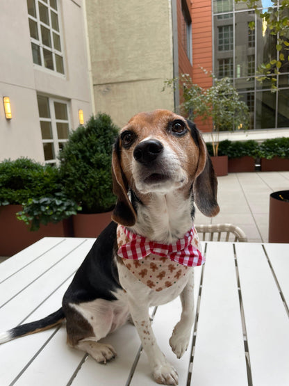 Christmas Morning Gingerbread Man Gingham Print Handmade Bandana
