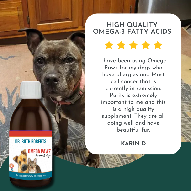 Omega Pawz - Liquid Omega 3 Oil for Dogs and Cats