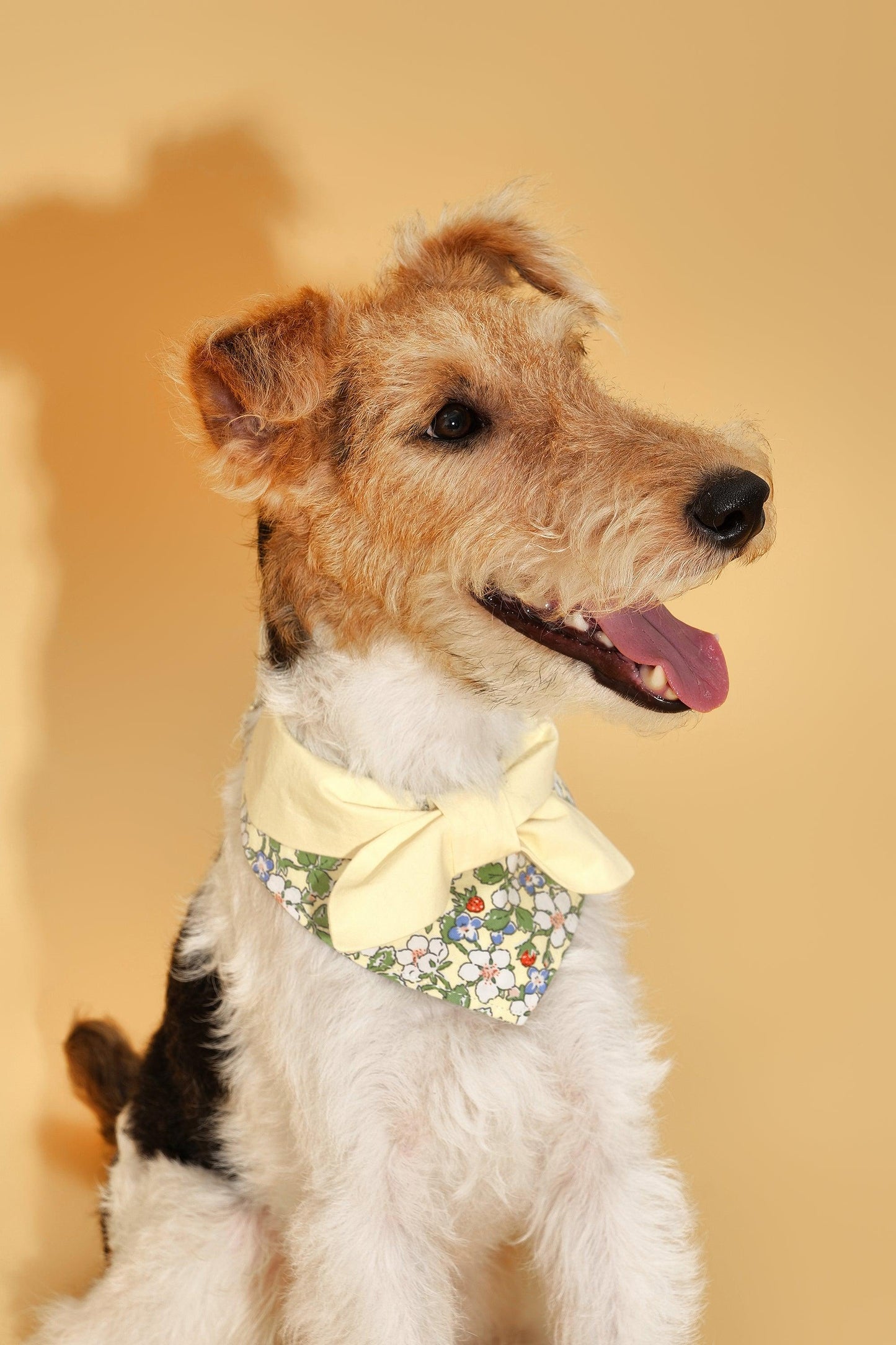 Bowtiful Garden Butter Yellow Floral Bandana