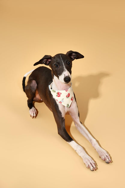 Strawberry Fields Butter Yellow Triangle Bandana