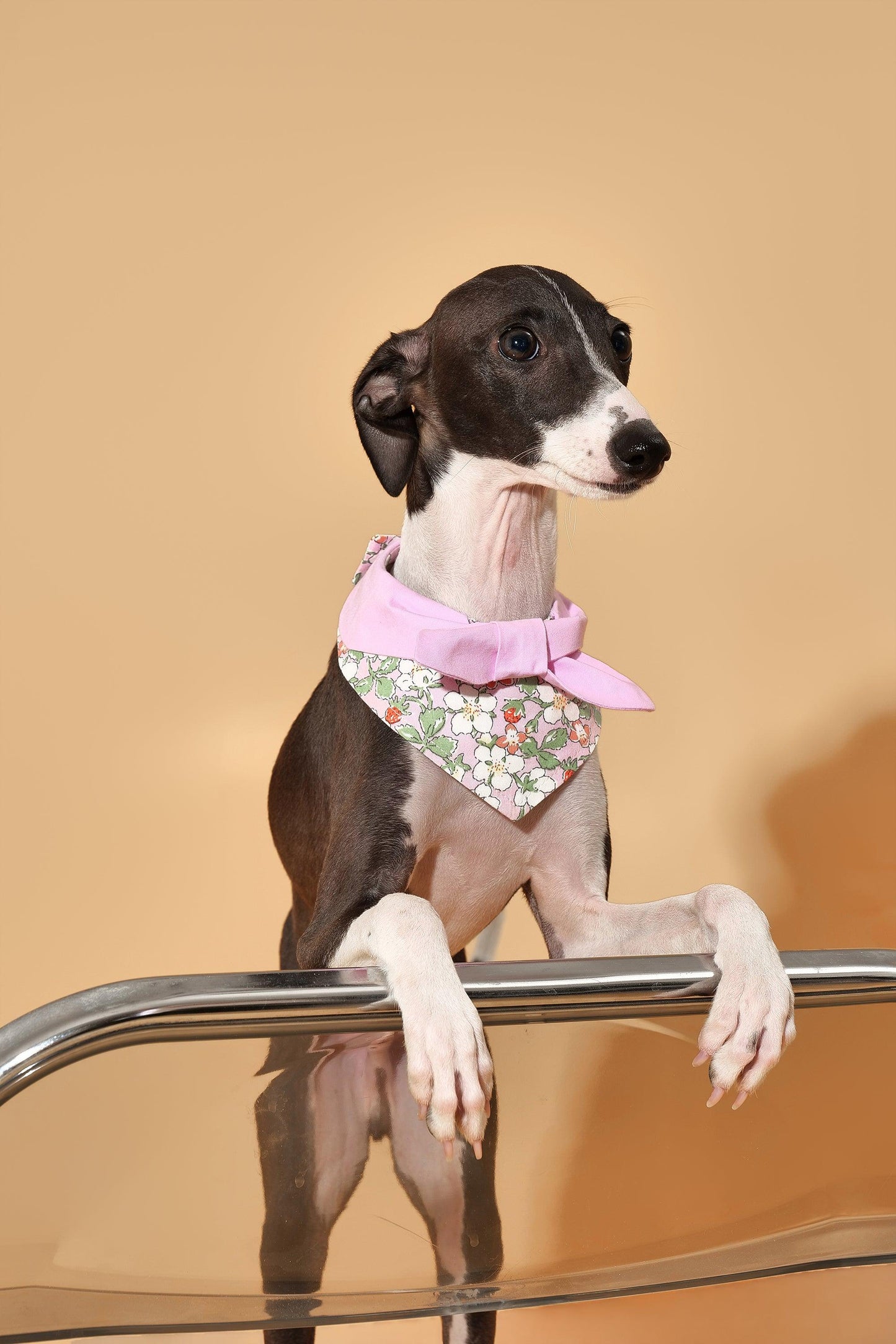 Bowtiful Garden Pink Floral Bandana