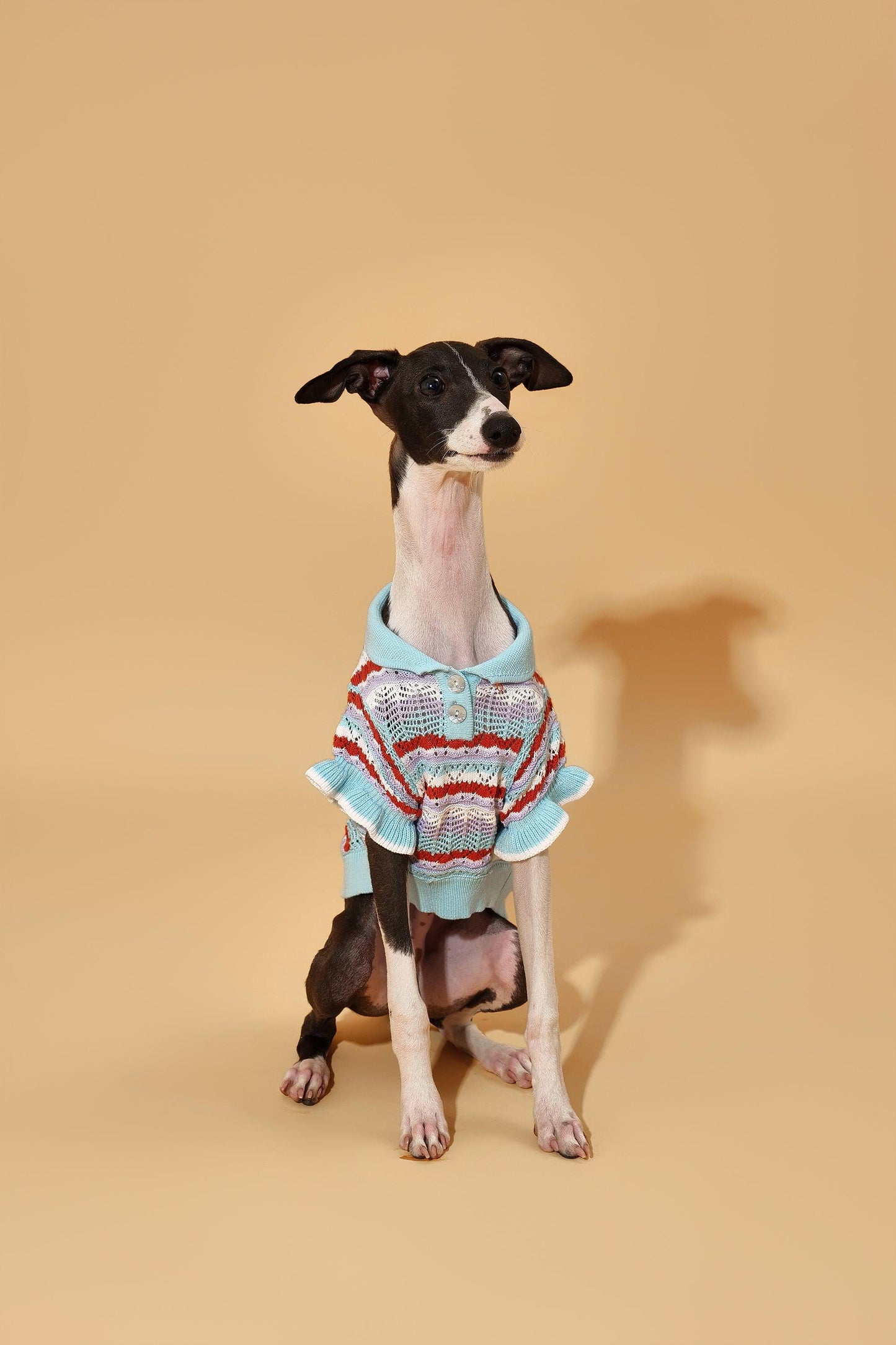 Pet & Me Spring Summer Ocean Blue Ruffle Crochet Short Sleeve Polo Shirt