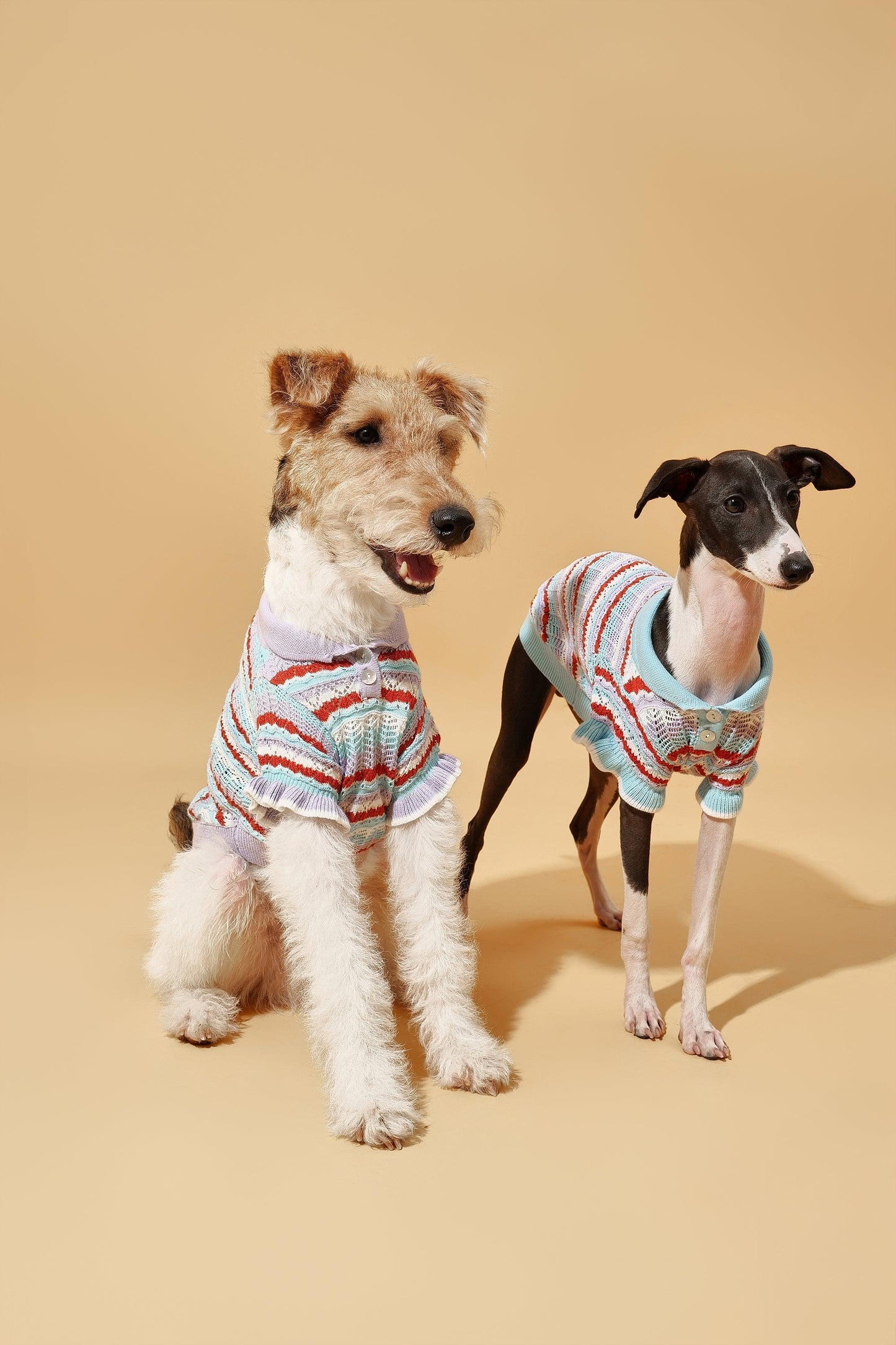 Pet & Me Spring Summer Lavender Ruffle Crochet Short Sleeve Polo Shirt