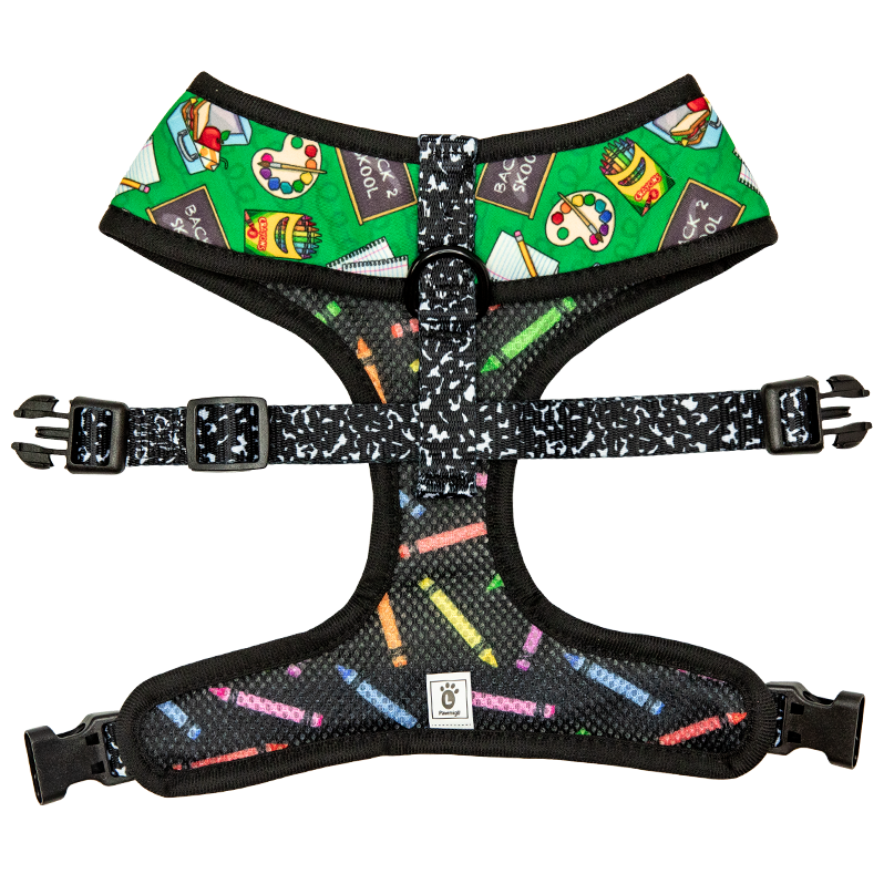 Teacher's Pet Reversible Harness