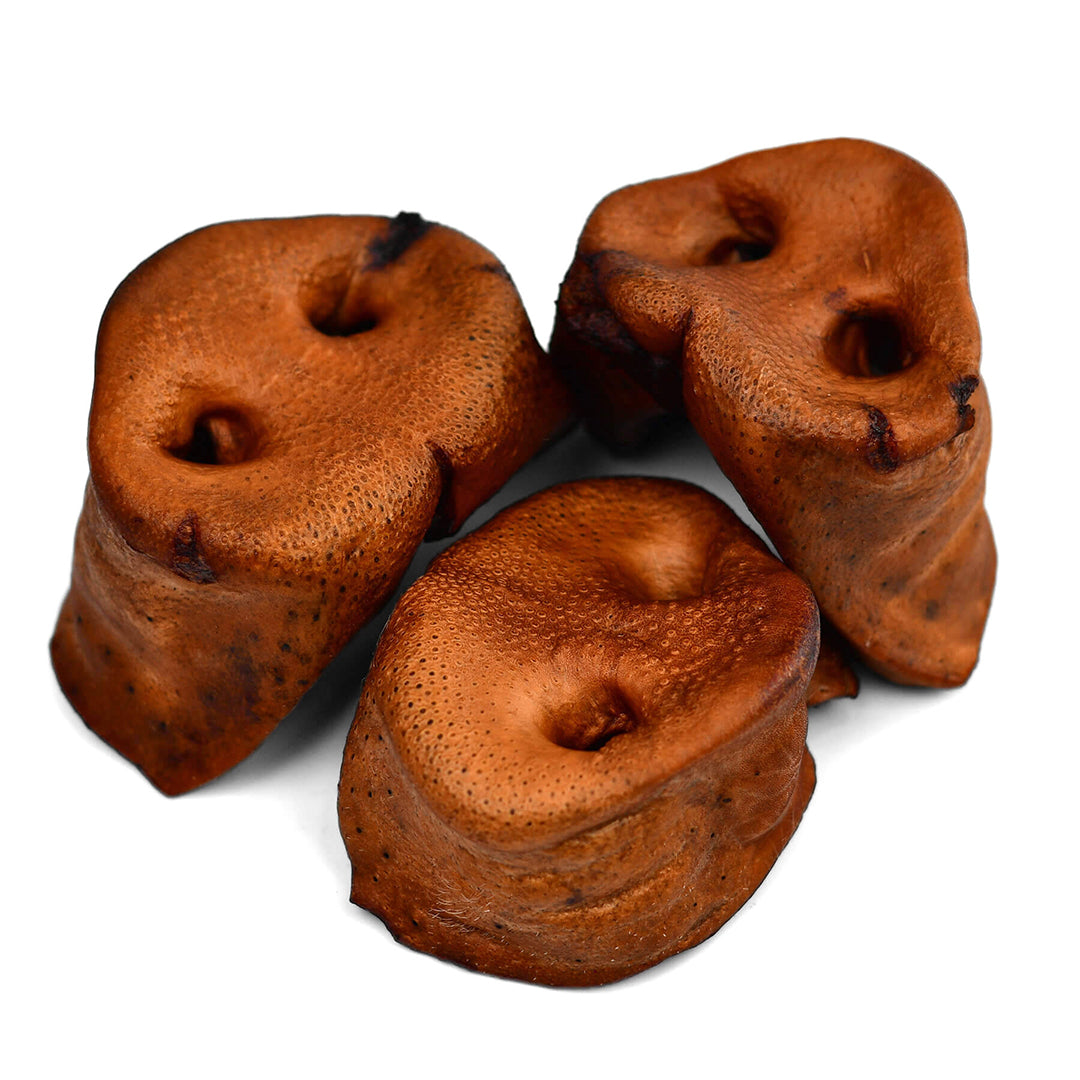 Pork Snouts - 6 Pcs