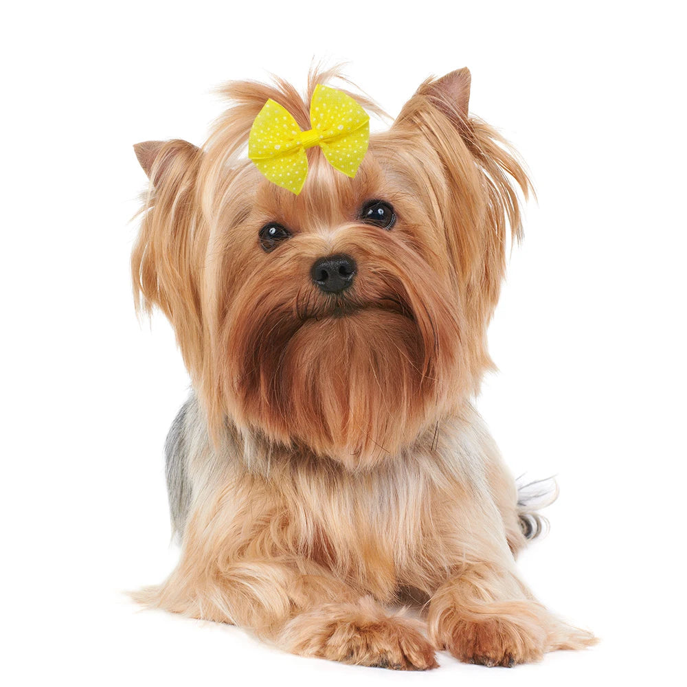 Dogs Hair Bows With Dots 40 Pieces