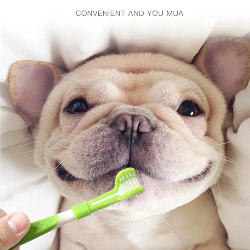 Pet Toothbrush Kit Dental Care Three Heads Dog Toothbrush Finger