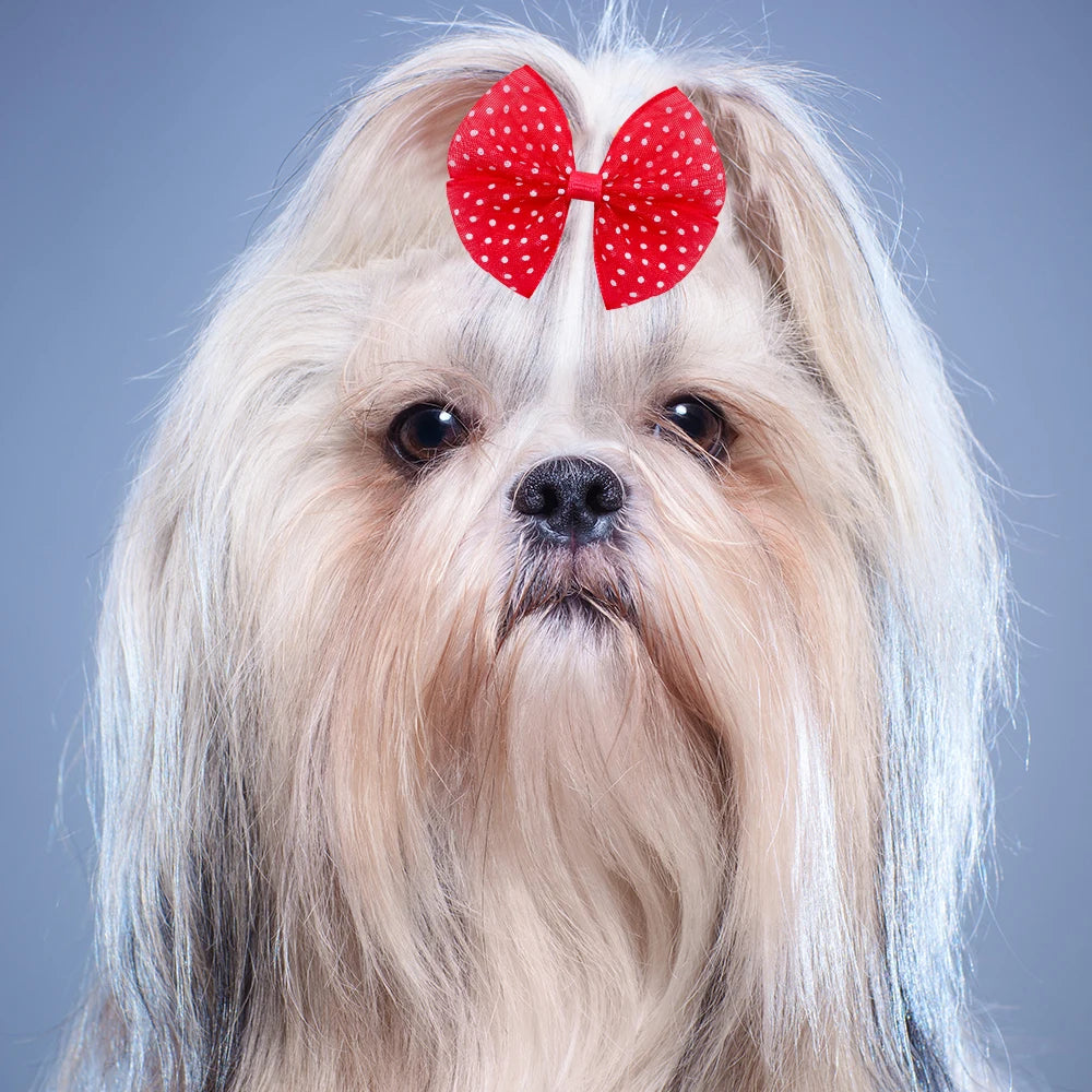 Dogs Hair Bows With Dots 40 Pieces