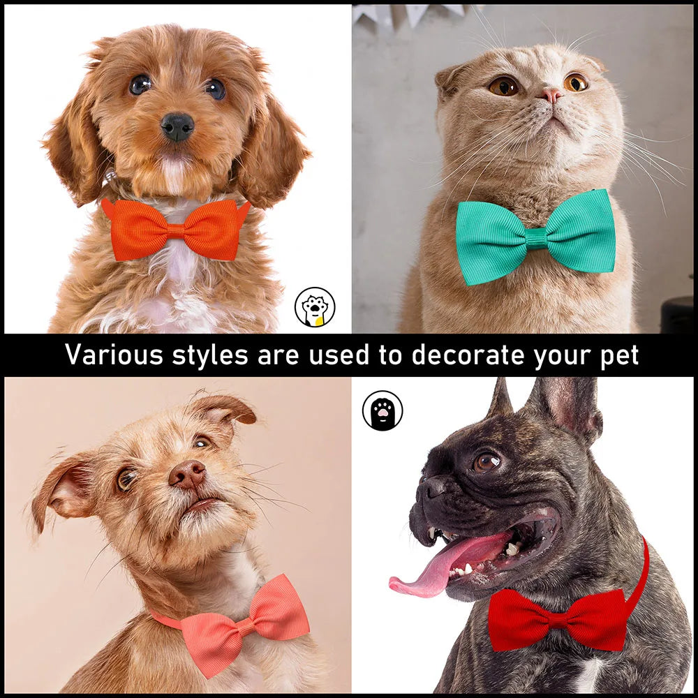 Solid Bowties for Dogs 10 pieces