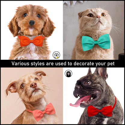 Solid Bowties for Dogs 10 pieces