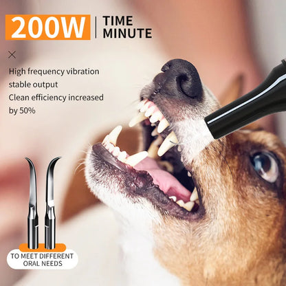 Ultrasonic Portable Electric Dog Toothbrush Professional Plaque