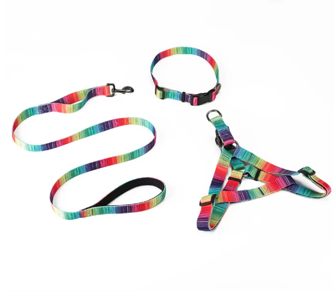 Vibrant Matching Leash & collars Set