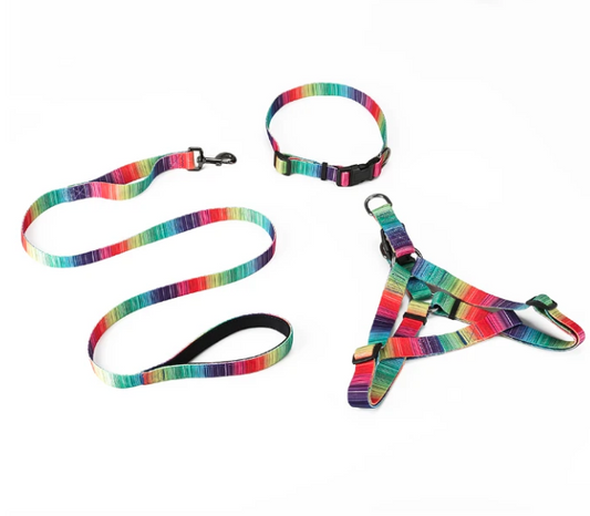 Vibrant Matching Leash & collars Set