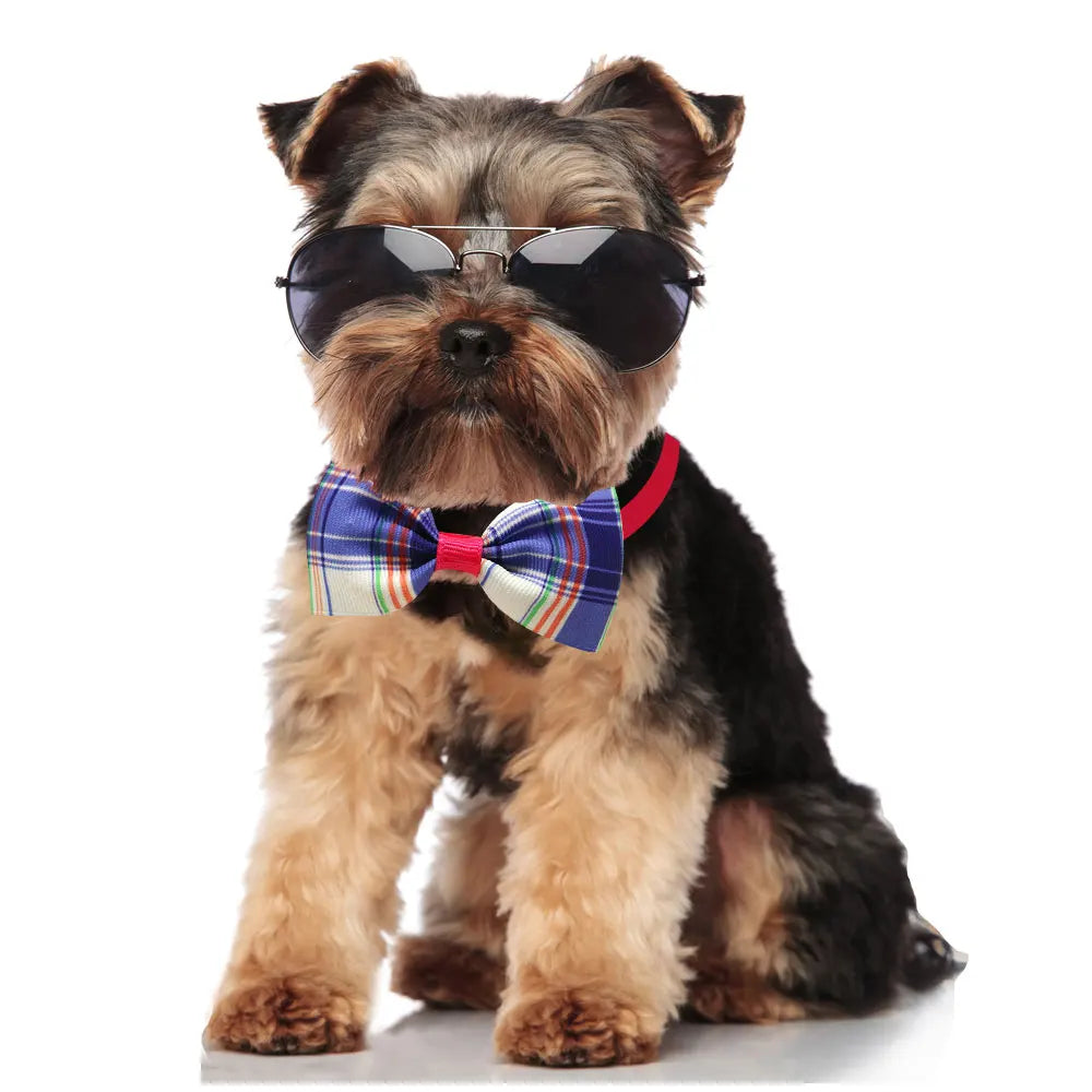 Dog Bow Ties 20 pieces