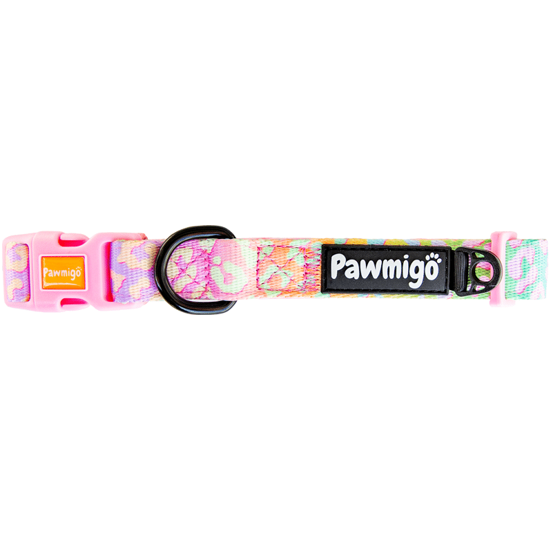 Slumber Pawty Classic Collar