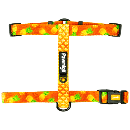 Snack Shack Free-Fit Harness