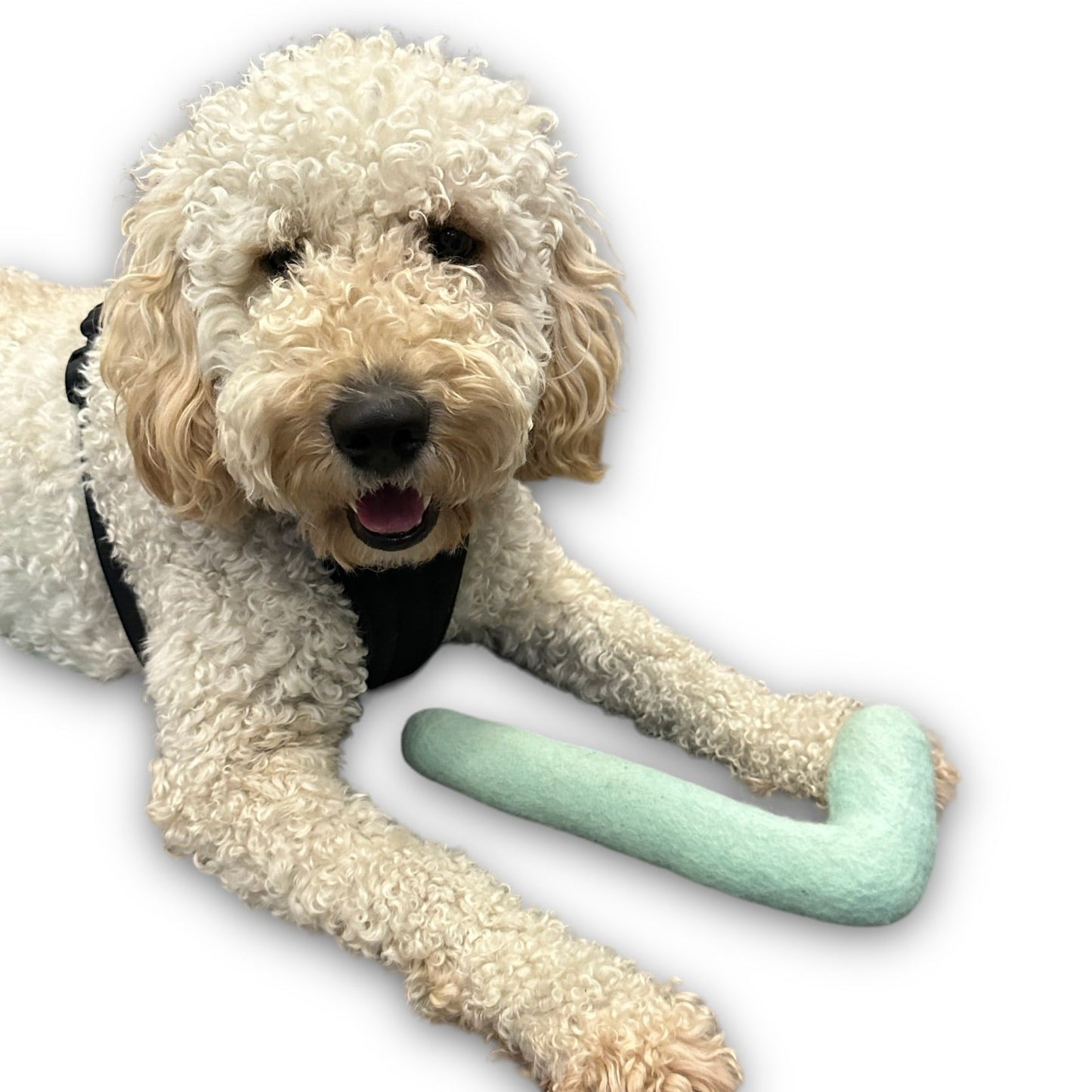 Tube Felt Dog Toy
