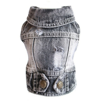 Jeans Jacket Dog Coat Clothes | Clothes Dog Denim Jacket | Chihuahua