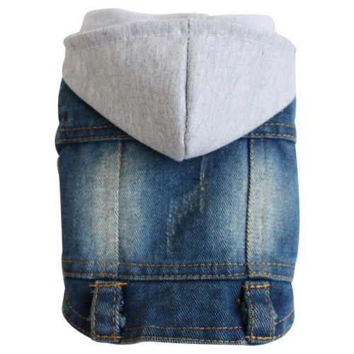 Jeans Jacket Dog Coat Clothes | Clothes Dog Denim Jacket | Chihuahua
