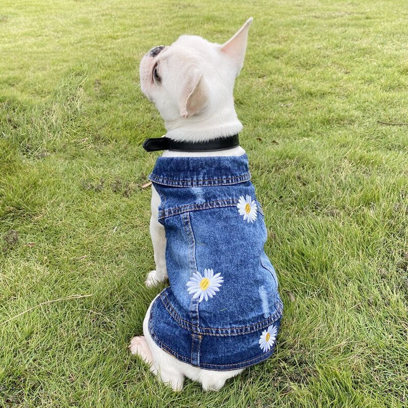 Jeans Jacket Dog Coat Clothes | Clothes Dog Denim Jacket | Chihuahua
