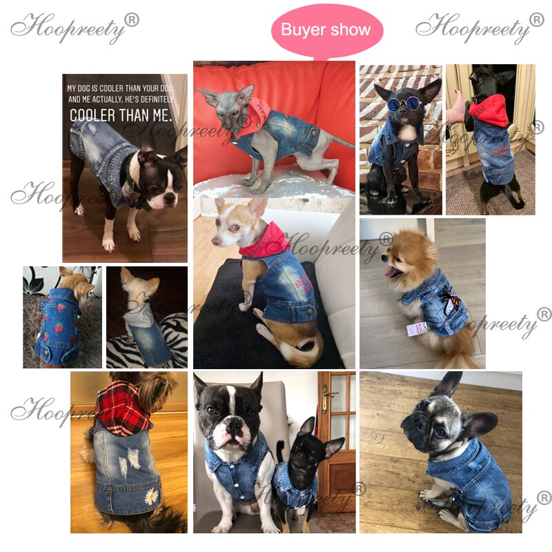 Jeans Jacket Dog Coat Clothes | Clothes Dog Denim Jacket | Chihuahua
