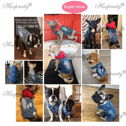 Jeans Jacket Dog Coat Clothes | Clothes Dog Denim Jacket | Chihuahua