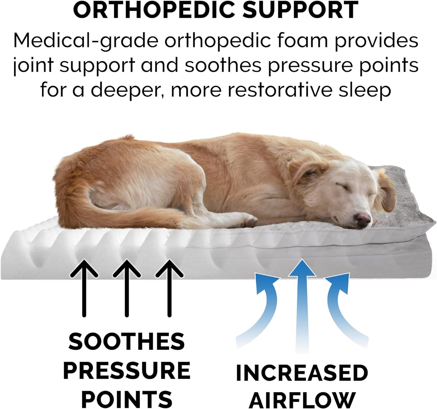 Orthopedic Dog Bed W/ Pillow Cushion Top & Removable Washable Cove (for Dogs up to 35 Lbs)