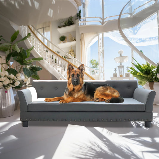 Durable Elevated Soft Pet Bed for Medium and Large Dogs