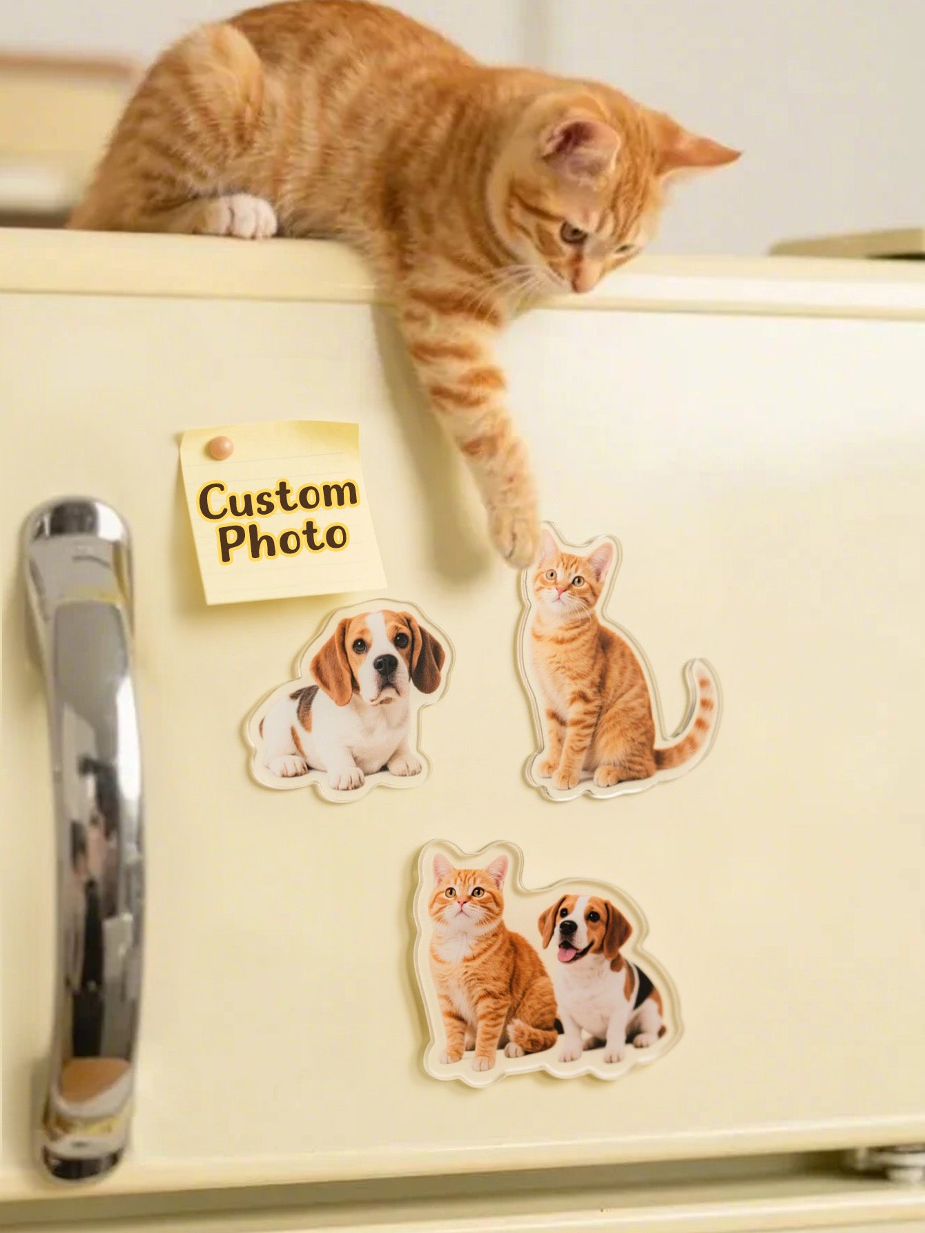 Custom Photo Irregular Shape Fridge Magnet – Personalized Kitchen Decoration