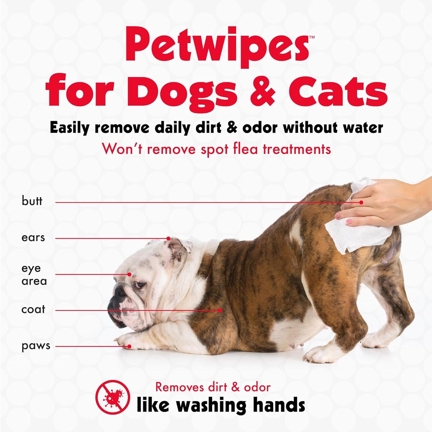100 Large Wipes for Dogs