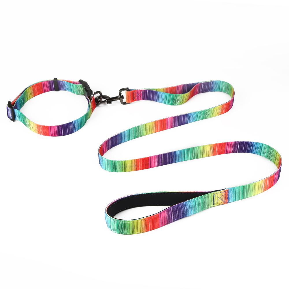 Vibrant Matching Leash & collars Set