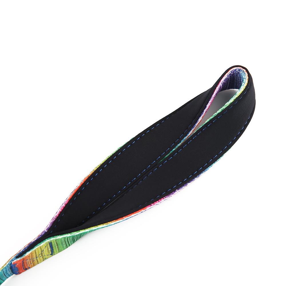 Vibrant Matching Leash & collars Set