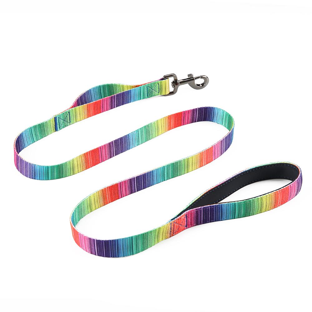 Vibrant Matching Leash & collars Set