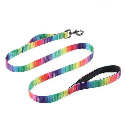 Vibrant Matching Leash & collars Set